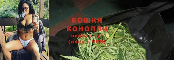 ПСИЛОЦИБИНОВЫЕ ГРИБЫ Белоозёрский