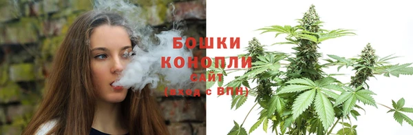 ПСИЛОЦИБИНОВЫЕ ГРИБЫ Белоозёрский