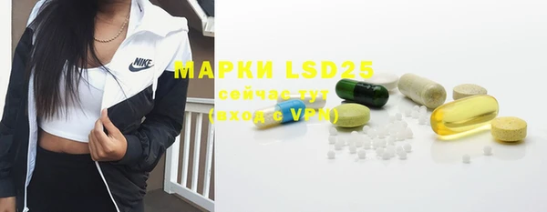 ПСИЛОЦИБИНОВЫЕ ГРИБЫ Белоозёрский