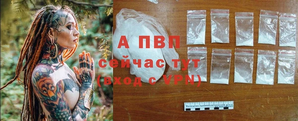 apvp Белокуриха