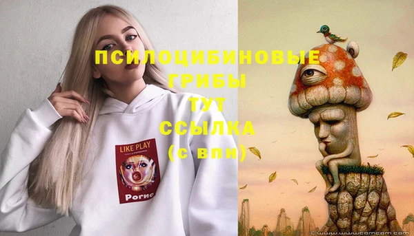 apvp Белокуриха